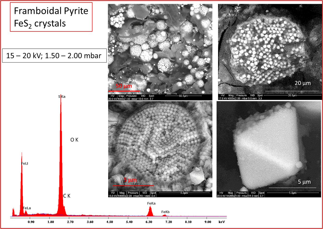 image du Microscope Electronique à balayage environnemental