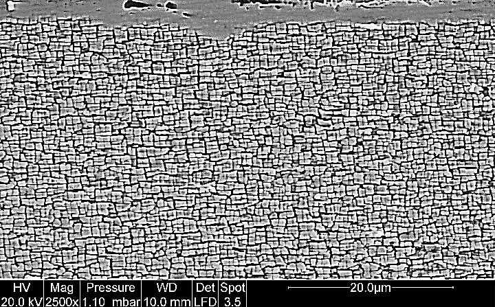 Nickel sur Microscope Electronique à balayage environnemental
