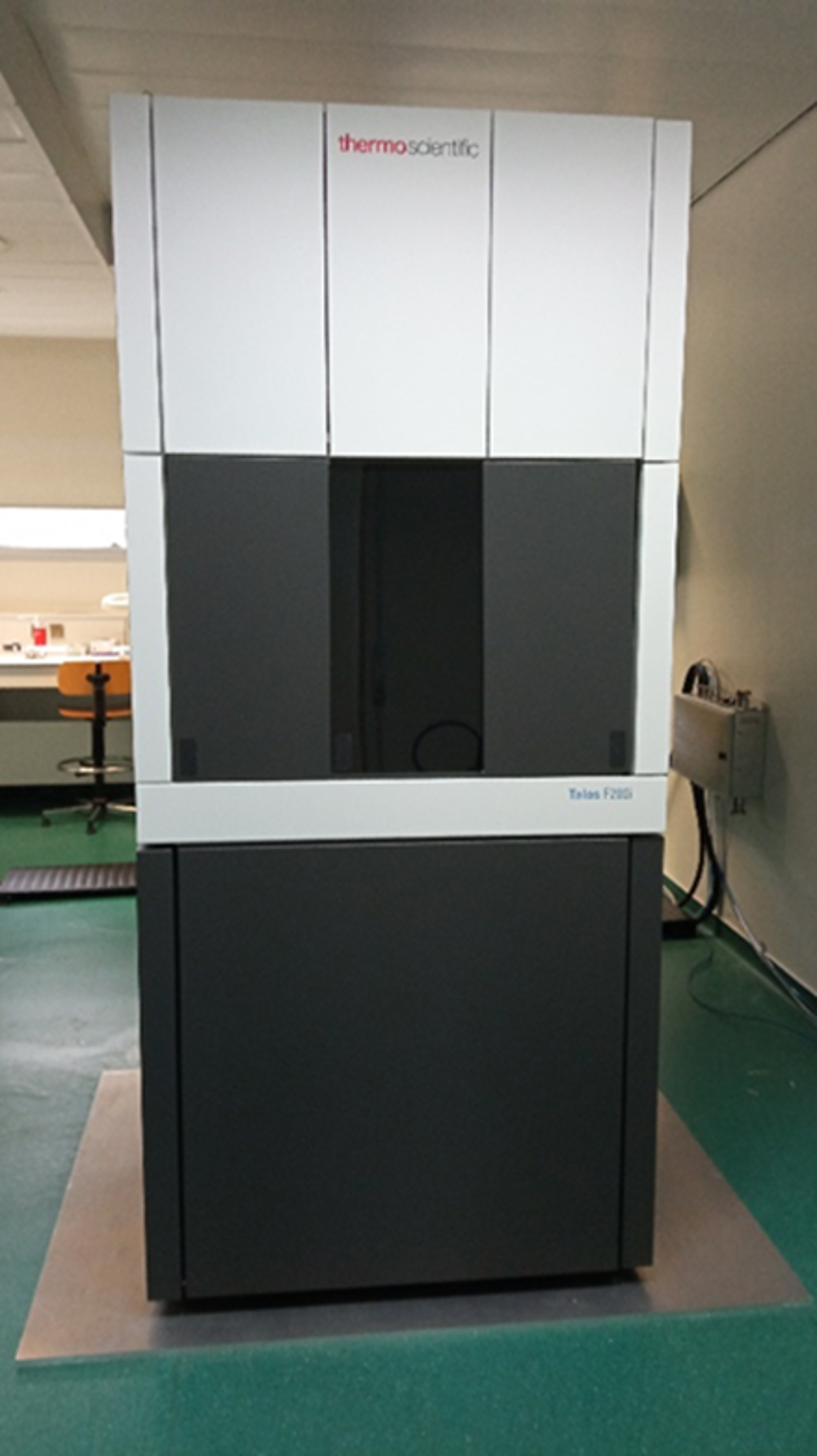 Microscope Electronique en Transmission TALOS iFEG, Thermofisher
