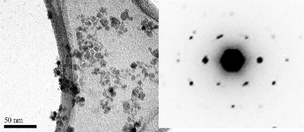 Nanoparticules d'oxyde de fer (HEP-IONP) recouvertes de différentes héparines - contraste positif en IRM. - Agrandir l'image, fenêtre modale