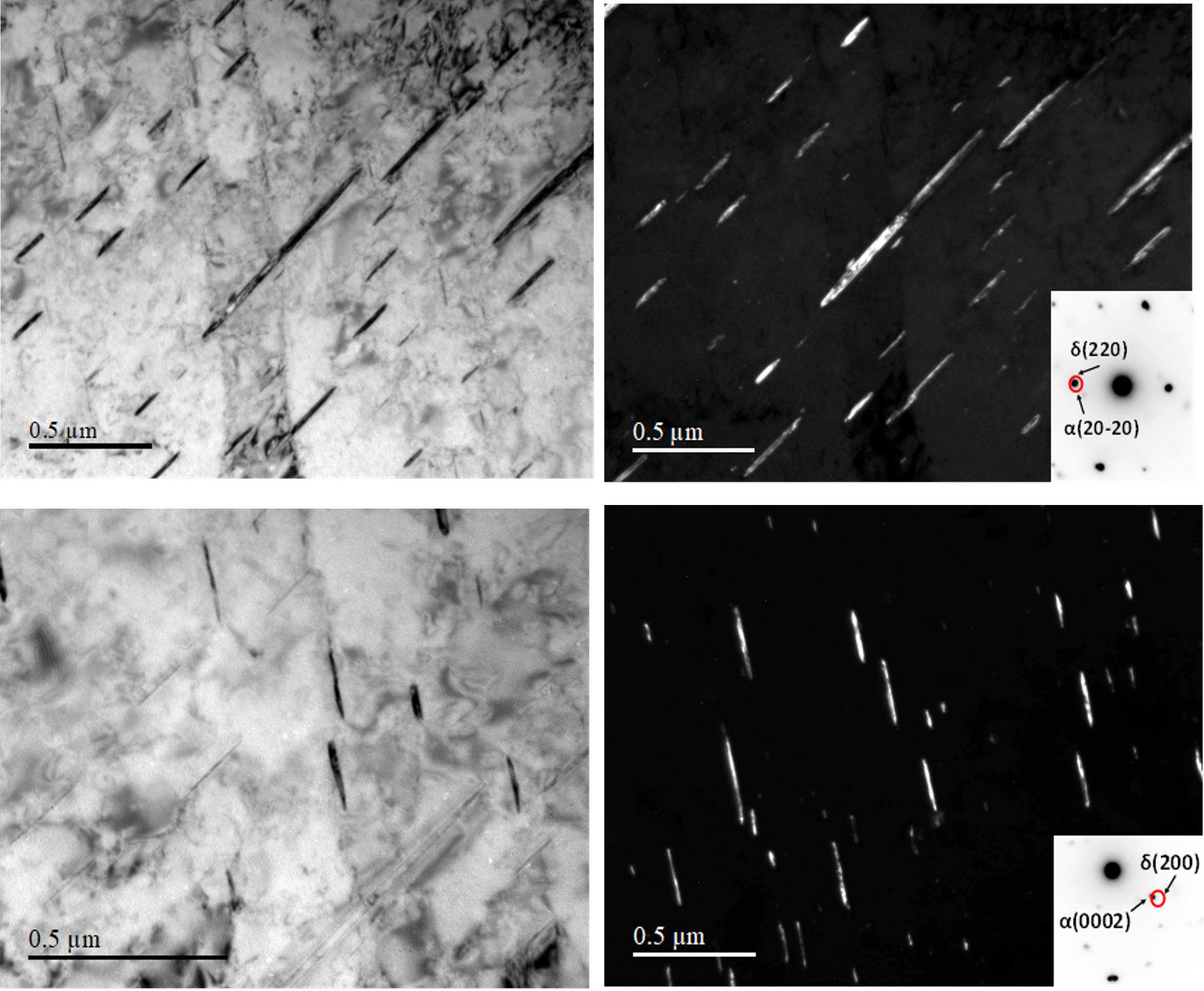 Hydrures de titane re-précipités en OR1 sur une même zone après des essais de traction.
