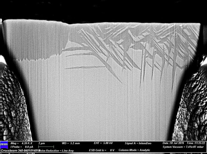Précipités d’hydrure de Titane dans un substrat de Ti en coupe transverse