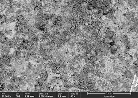 image microscopie