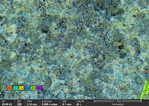 image microscopie